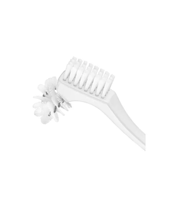 Dentures Cleaning Brush BDC