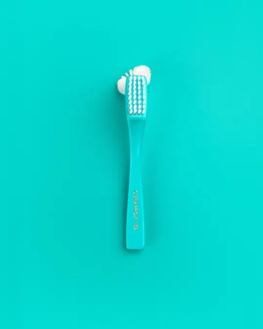 Dentures Cleaning Brush BDC